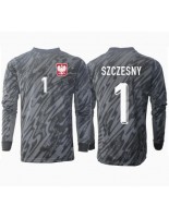 Moške Nogometnih dresov Poljska Wojciech Szczesny #1 Vratar Gostujoči EP 2024 Dolgi rokavi